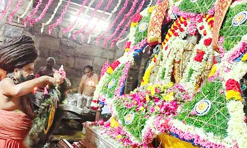 வைத்தியநாதசாமி கோவிலில் கிருத்திகை வழிபாடு