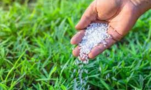 3 தனியார் உரக்கடைகளின் விற்பனை உரிமம் ரத்து