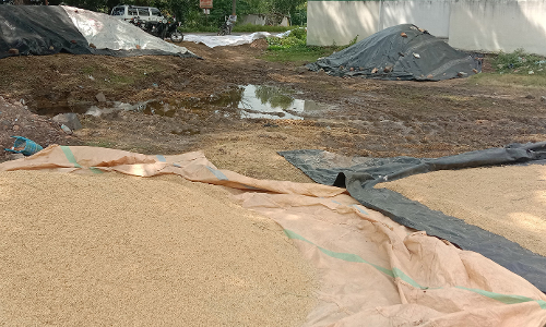 தற்காலிக நெல் கொள்முதல் களம் மழைநீரால் சேறும், சகதியுமாக மாறியது