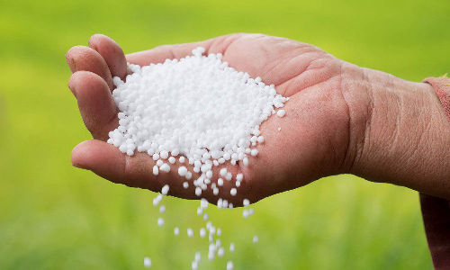 தொடக்க வேளாண்மை கூட்டுறவு கடன் சங்கங்களில்  சாகுபடிக்கு தேவையான உரங்களை விவசாயிகள் பெறலாம்  -இணைப்பதிவாளர் தகவல்