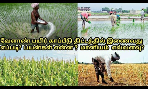 பயிர் காப்பீடு செய்ய விவசாயிகளுக்கு அழைப்பு