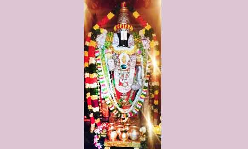 சீனிவாச பெருமாள்கோவிலில் சிறப்பு வழிபாடு