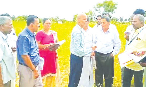 மாவட்ட சிறப்பு கண்காணிப்பு அலுவலர் ஆய்வு