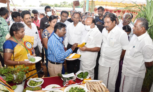 கருவேல மரங்களை அகற்றுவது பெரும் சவாலாக உள்ளது-அமைச்சர்