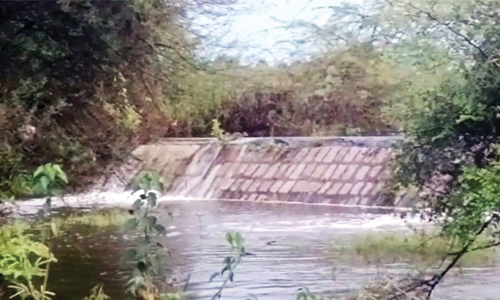 சேலம், நாமக்கல் மாவட்டங்களில்  மேலும் 4 நாட்கள் கன மழை பெய்யும்  வானிலை ஆய்வு மையம் எச்சரிக்கை