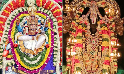 தூத்துக்குடி ரதவீதிகளில்  அன்னபட்சி வாகனத்தில்  காட்சி அளித்த பாகம்பிரியாள் அம்மன்