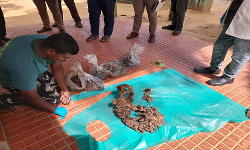 களக்காடு மலையடிவாரத்தில் மின்சார வேலியில் சிக்கி கரடி பலி- சடலத்தை புதைத்த மர்ம நபர்களுக்கு வலைவீச்சு