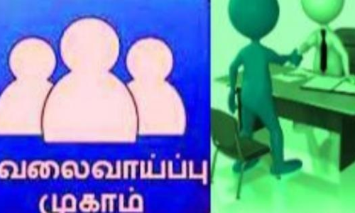 கள்ளக்குறிச்சி மாவட்ட  பெண்களுக்கு தனியார் வேலைவாய்ப்பு முகாம்: கலெக்டர் ஷ்ரவன் குமார் தகவல்