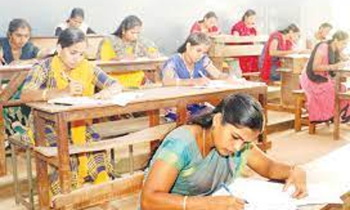 237 பேர்  ஆசிரியர் தகுதி தேர்வு எழுதினர்