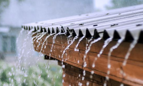 குமாரபாளையம் அரசு பள்ளியில் கலெக்டர் ஆய்வு