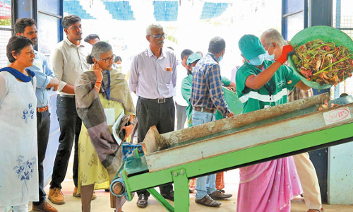 மண்ணிவாக்கம் ஊராட்சியில் மத்திய குழுவினர் ஆய்வு