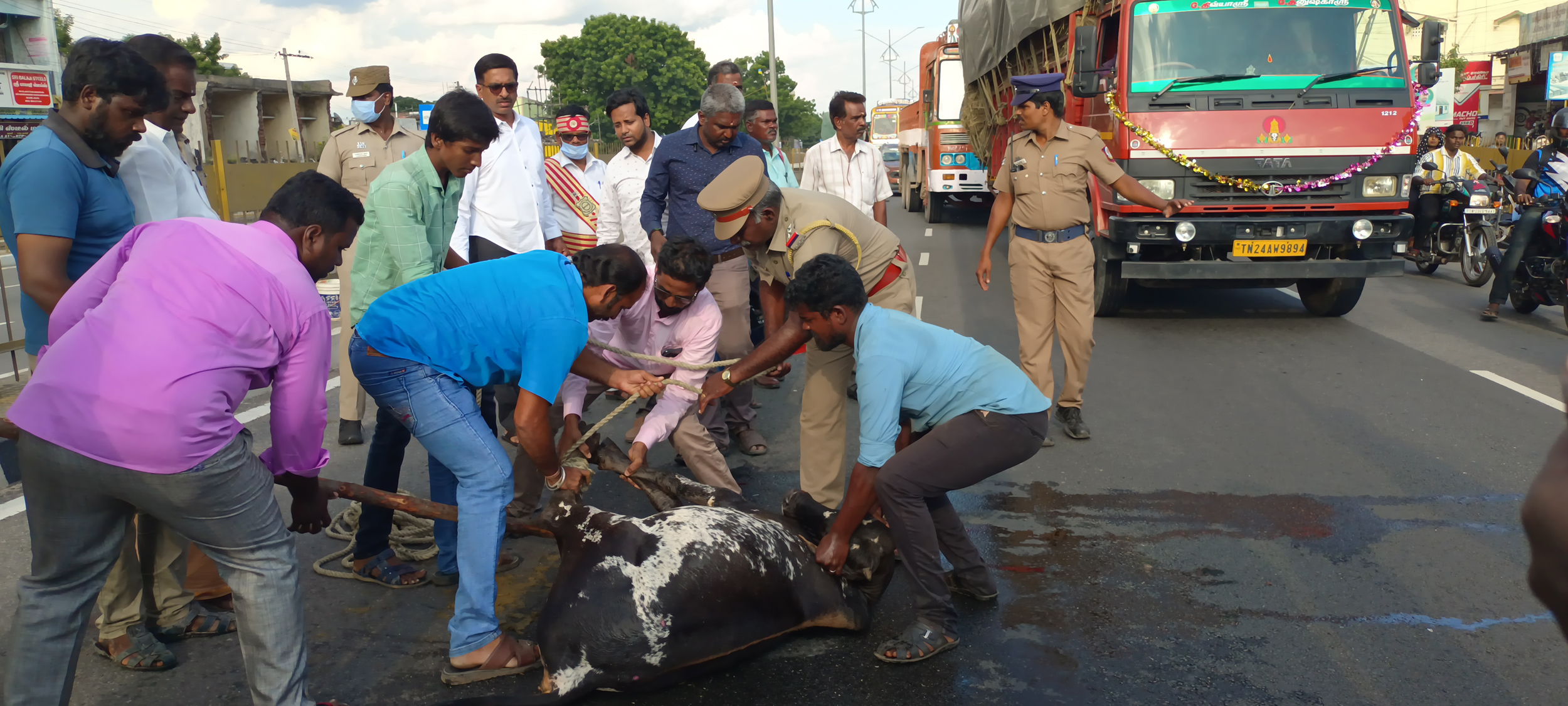 கார் மோதி மாடு படுகாயம் கார் மோதி மாடு படுகாயம்