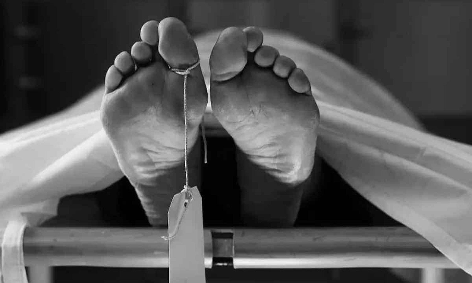 தீபாவளிக்காக வீட்டின் சுவரில் வர்ணம் பூசும் பணியின்போது விபரீதம்- 3 வாலிபர்கள் பலி தீபாவளிக்காக வீட்டின் சுவரில் வர்ணம் பூசும் பணியின்போது விபரீதம்- 3 வாலிபர்கள் பலி