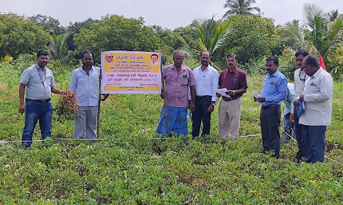 விவசாயிகளுக்கு பயிர் விளைச்சல் போட்டி