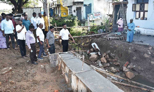 ஏரி பகுதிகளில் நீர்வரத்து கால்வாய் செல்லும் பாதையை கலெக்டர் ஆய்வு