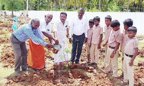 10 நிமிடத்தில் 400 மரக்கன்று நடும் சாதனை