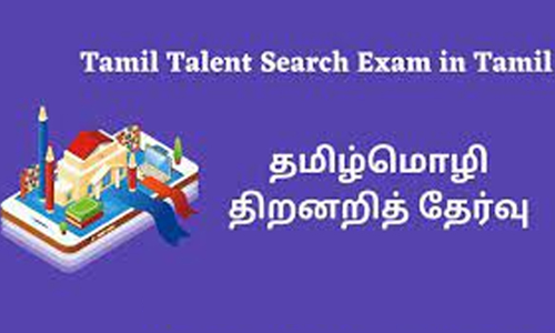 தமிழ்மொழி இலக்கிய திறனறி தேர்வு   சேலம் மாவட்டத்தில் 11,108 பேர் எழுதினர்
