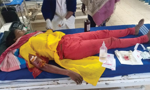 வால்பாறையில் கரடி தாக்கி பெண் தொழிலாளி படுகாயம்