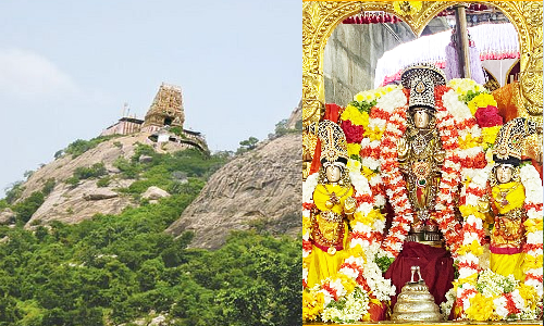 லட்சுமி நரசிம்மர், கருமான் பிள்ளையார் கோவிலில் சிறப்பு பூஜை