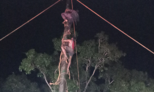 வேலூரில் உறியடி விழா