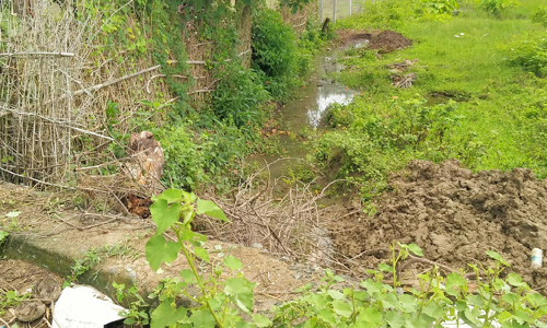 வடிகால் வாய்க்கால் ஆக்கிரமிப்பு