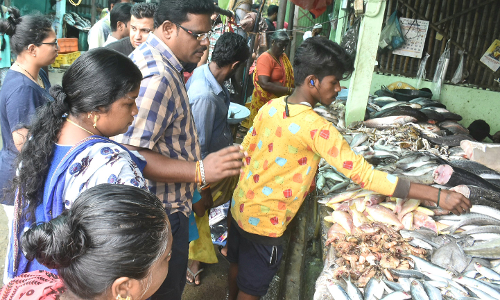 ஈரோட்டில்  மார்க்கெட்டில் மீன்கள் வரத்து அதிகரிப்பு