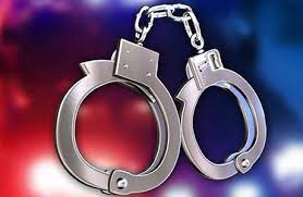 மாடுகளை திருடிய 2 பேர் கைது மாடுகளை திருடிய 2 பேர் கைது