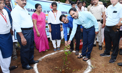 20 நிமிடங்களில் 25 ஆயிரம் மரக்கன்றுகள் நட்டு சாதனை