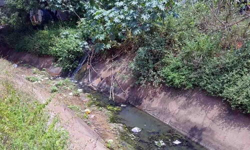 பி.ஏ.பி., வாய்க்காலில் குவியல் குவியலாக மதுபாட்டில்கள் -  விவசாயிகள் அதிர்ச்சி