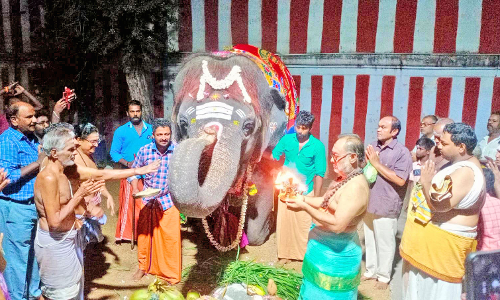 சங்கரன்கோவில் சங்கரநாராயண சாமி கோவிலில்  கோமதி யானைக்கு 28-வது பிறந்த நாள் கொண்டாட்டம்