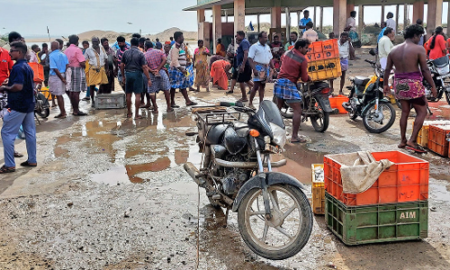 மணப்பாடு கடற்கரையில்  மீன்கள் வாங்க குவிந்த மக்கள்