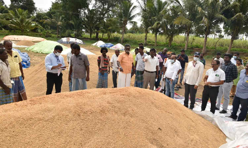 திருச்சி மாவட்ட நெல் கொள்முதல் நிலையங்களில் மத்திய குழு ஆய்வு