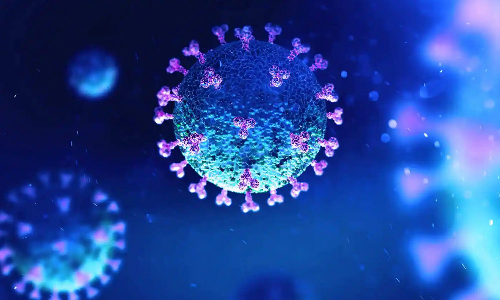 சீனாவில் வேகமாக பரவும் புதிய வகை ஒமைக்ரான்- குஜராத்தில் கண்டுபிடிப்பு