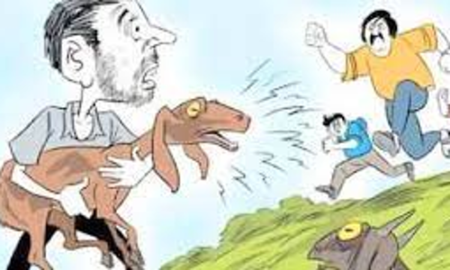 சின்னசேலம் அருகே ஆடுகளை காரில் திருடி சென்ற மர்ம நபர்கள்