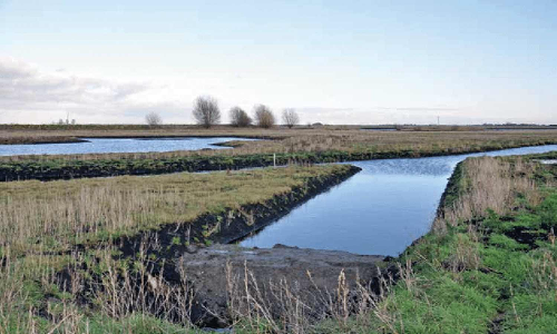 திருவண்ணாமலை பஸ் நிலையத்தில் கல்லூரி மாணவிகள் திடீர் போராட்டம்