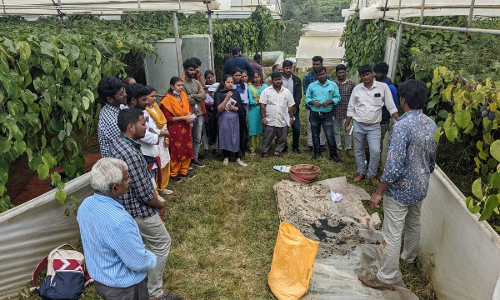 விவசாயிகளுக்கு பயிற்சி