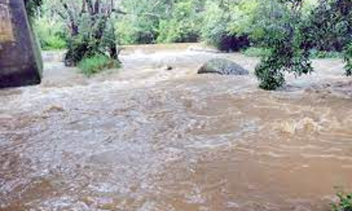 ஆறுகளில் தண்ணீர் வரத்து அதிகரித்தது