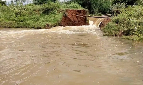 தேவதானப்பட்டி அருகே கண்மாய் உடைந்து விளை நிலங்களுக்குள் புகுந்த மழைநீர் பயிர்கள் சேதம்