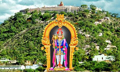 பழனி கோவில் உற்சவருக்கு நாளை சிறப்பு பூஜைகள்