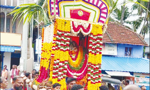 வீரவநங்கை அம்மன் கோவிலில் அம்மன் வீதி உலா