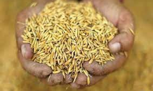 நெல் கொள்முதல் நிலைய அலுவலர்களுக்கு விழிப்புணர்வு கூட்டம்