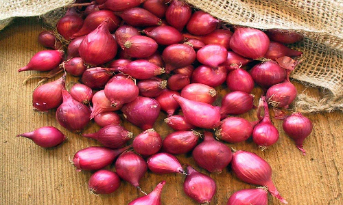 நாகர்கோவில் மார்க்கெட்டில் சின்ன வெங்காயம் கிலோ ரூ.120க்கு விற்பனை