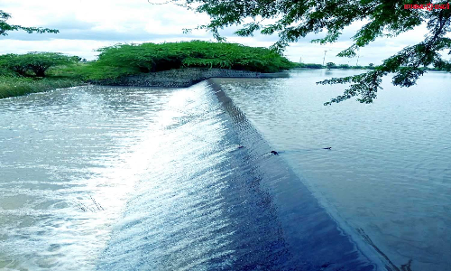 ஓட்டப்பிடாரம் அருகே  முரம்மன்குளம் நிரம்பியது