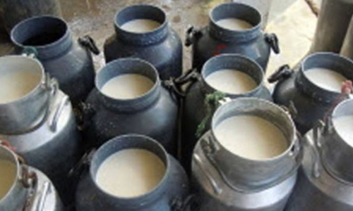 தாரமங்கலம் அருகே பால் உற்பத்தியாளர்கள் சங்க  உறுப்பினர்களுக்கு தீபாவளி போனஸ்