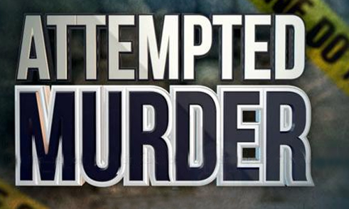 வண்டி சீட்டை கிழித்ததால் தகராறு   சேலத்தில் வாலிபரை  கார் ஏற்றி கொல்ல முயற்சி