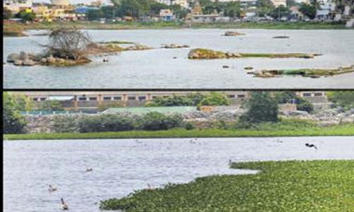 ராணிப்பேட்டை மாவட்டத்தில் 99 ஏரிகள் முழுமையாக நிரம்பியுள்ளது