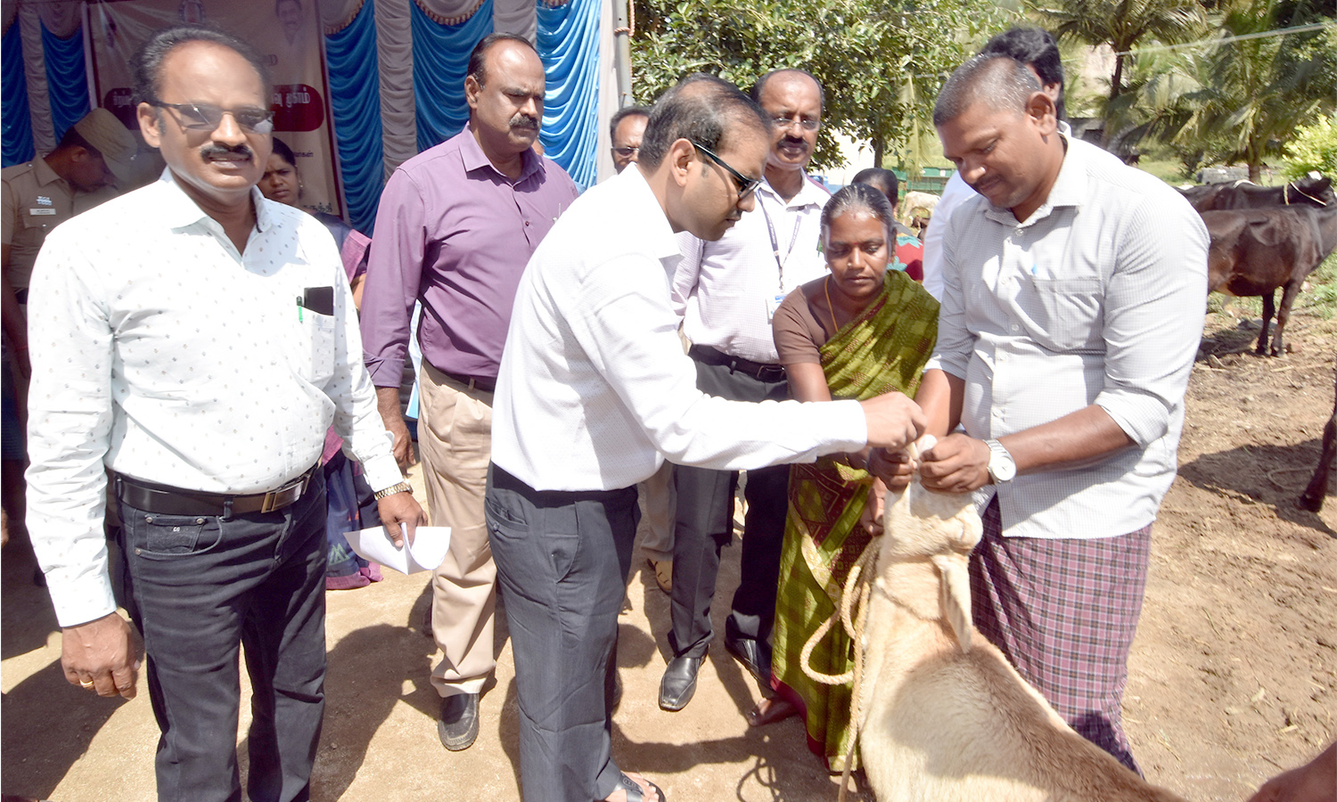 தமிழக முதல்வரின் சிறப்பு கால்நடை சுகாதார விழிப்புணர்வு முகாம் தமிழக முதல்வரின் சிறப்பு கால்நடை சுகாதார விழிப்புணர்வு முகாம்