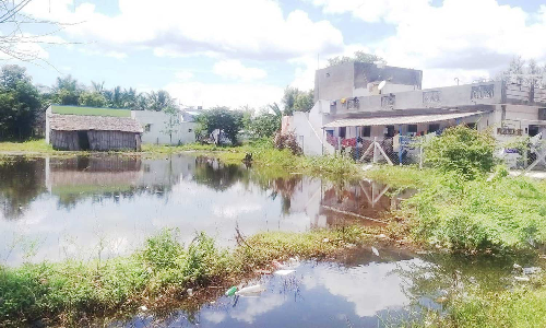 நிலக்கோட்டை அருகே தேங்கி நிற்கும் மழைநீரால் சுகாதார சீர்கேடு