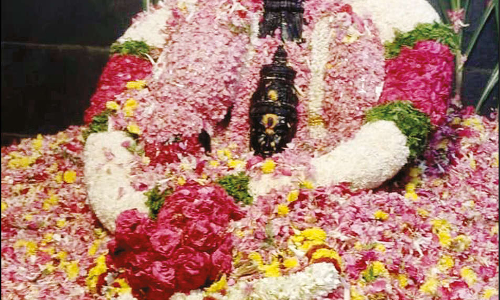 ராசிபுரம் நித்திய சுமங்கலி மாரியம்மன் கோவில் பூச்சாட்டு விழா