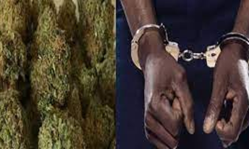 கஞ்சா விற்றவர் கைது